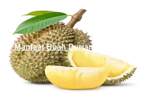 Manfaat Buah Durian Bagi Kesehatan
