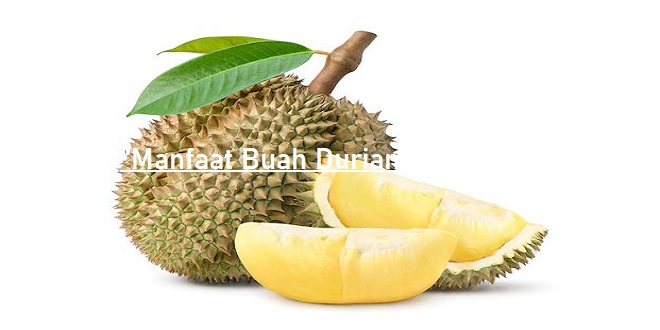 Manfaat Buah Durian Bagi Kesehatan