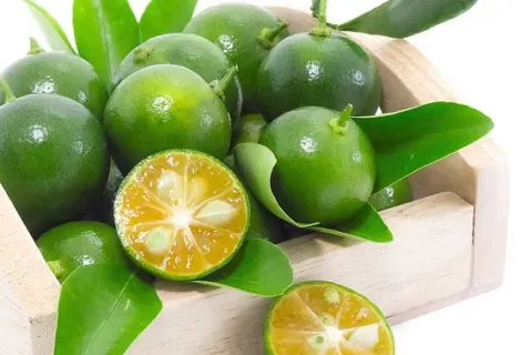 Cara Menurunkan Hpertensi Dengan Jeruk Kasturi