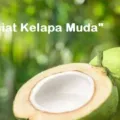 Manfaat dan Khasiat Kelapa Muda