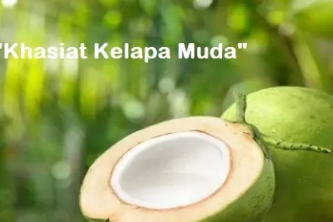 Manfaat dan Khasiat Kelapa Muda