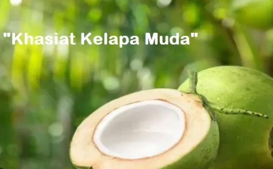 Manfaat dan Khasiat Kelapa Muda