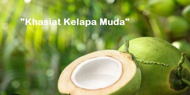 Manfaat dan Khasiat Kelapa Muda