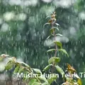 Cara Menjaga Tubuh Tetap Sehat Di Musim Hujan