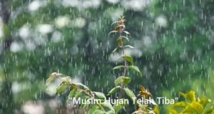 Cara Menjaga Tubuh Tetap Sehat Di Musim Hujan