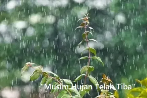 Cara Menjaga Tubuh Tetap Sehat Di Musim Hujan