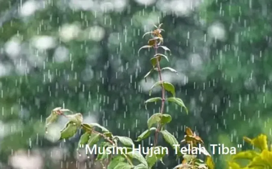 Cara Menjaga Tubuh Tetap Sehat Di Musim Hujan