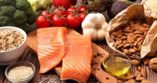 Mengenal Makanan Sehat Berbasis Sains untuk Hidup Lebih Sehat dan Berkualitas