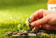 Tips Investasi untuk Pemula, Belajar Merancang Masa Depan yang Lebih Baik