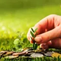 Tips Investasi untuk Pemula, Belajar Merancang Masa Depan yang Lebih Baik