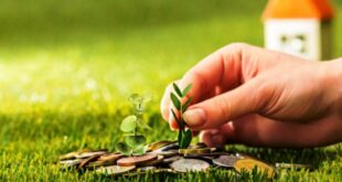 Tips Investasi untuk Pemula, Belajar Merancang Masa Depan yang Lebih Baik