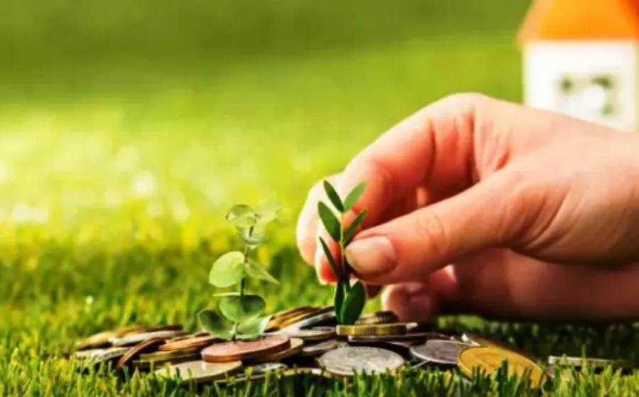 Tips Investasi untuk Pemula, Belajar Merancang Masa Depan yang Lebih Baik