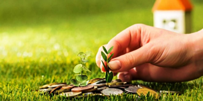 Tips Investasi untuk Pemula, Belajar Merancang Masa Depan yang Lebih Baik
