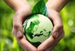 Tips Memulai Gaya Hidup Go Green yang Simpel, Seru, dan Bermanfaat