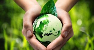 Tips Memulai Gaya Hidup Go Green yang Simpel, Seru, dan Bermanfaat