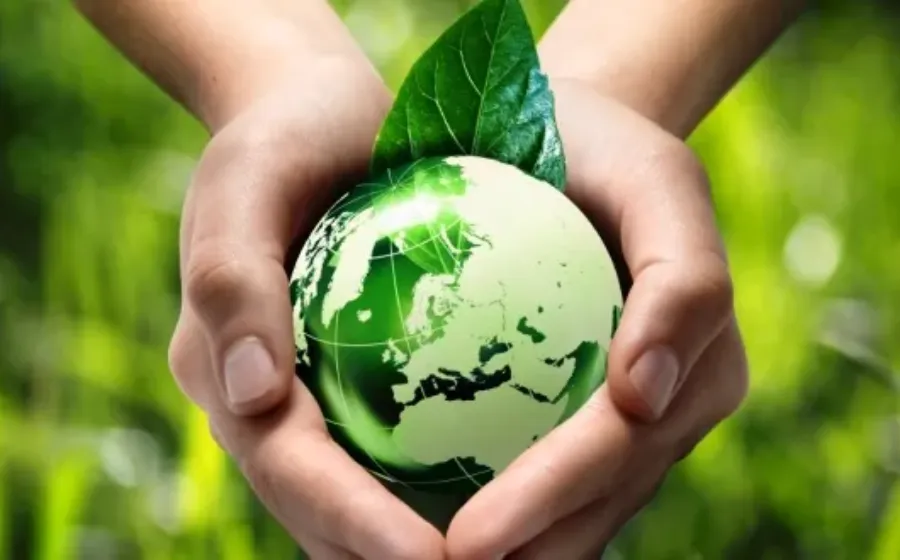 Tips Memulai Gaya Hidup Go Green yang Simpel, Seru, dan Bermanfaat
