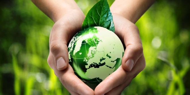 Tips Memulai Gaya Hidup Go Green yang Simpel, Seru, dan Bermanfaat