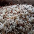 Cara Ternak Kroto di Rumah Modal Minim