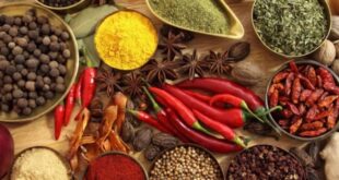Menggali Cita Rasa Asli Nusantara Lewat Jenis Rempah Rempah pada Kuliner Khas Indonesia
