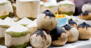 Manfaat Kelapa Bakar Untuk Kesehatan