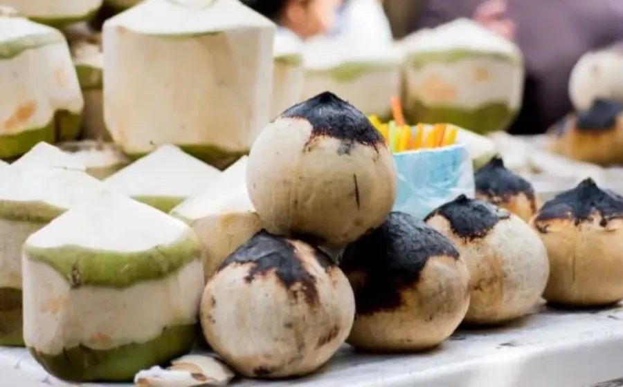 Manfaat Kelapa Bakar Untuk Kesehatan