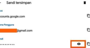 Cara Melihat Sandi Email dengan Aman dan Mudah