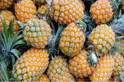 7 Manfaat Buah Nanas