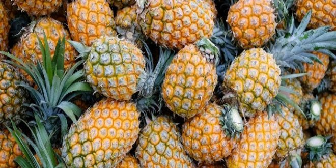 7 Manfaat Buah Nanas