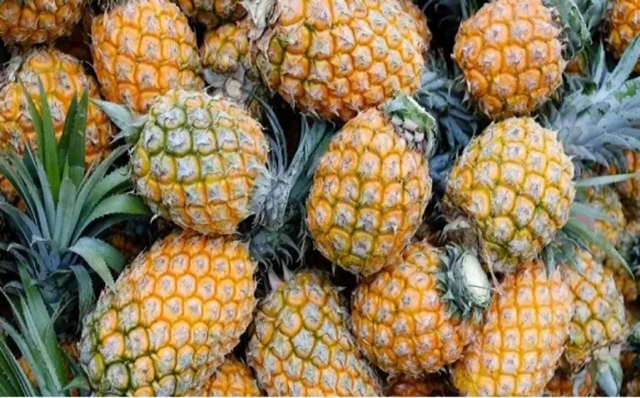 7 Manfaat Buah Nanas