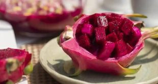Manfaat Buah Naga Untuk Tubuh