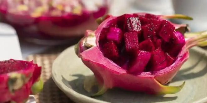 Manfaat Buah Naga Untuk Tubuh