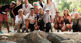 Alasan Kenapa Komodo Boat Tour Wajib Masuk Bucket List Liburanmu Tahun Ini