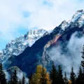 Pemandangan kebun teh di kawasan wisata pegunungan sejuk dengan udara segar dan panorama hijau